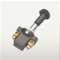 Push Pull Switch 